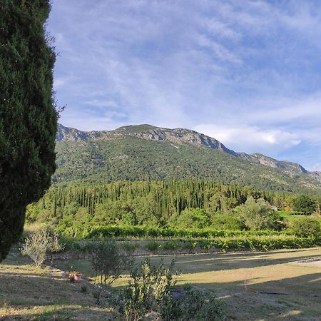 Country House Uros In Nature With Pool Lovorno Екстер'єр фото