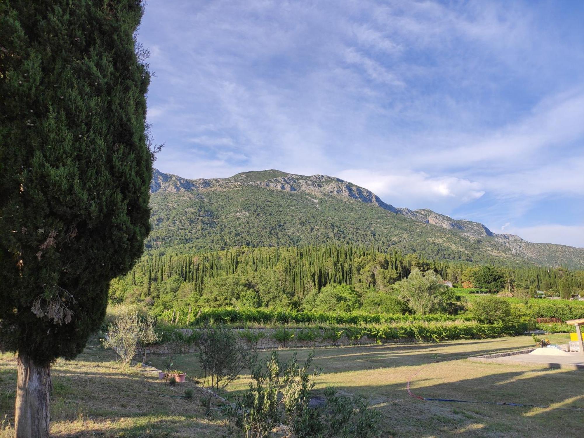 Country House Uros In Nature With Pool Lovorno Екстер'єр фото