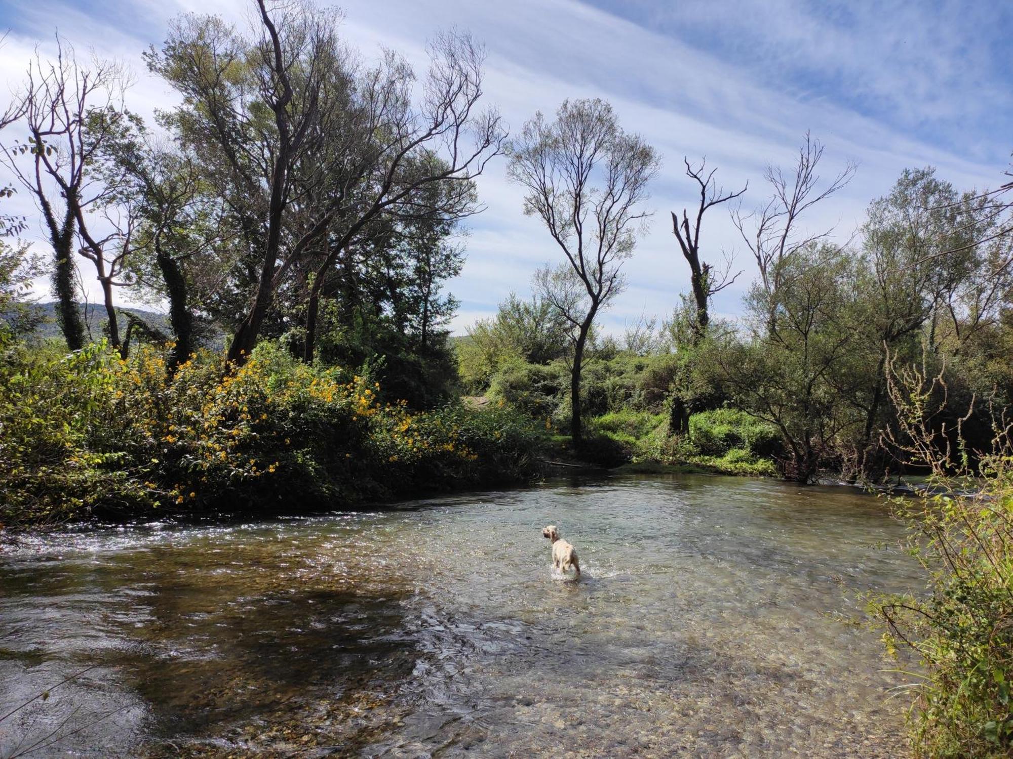 Country House Uros In Nature With Pool Lovorno Екстер'єр фото